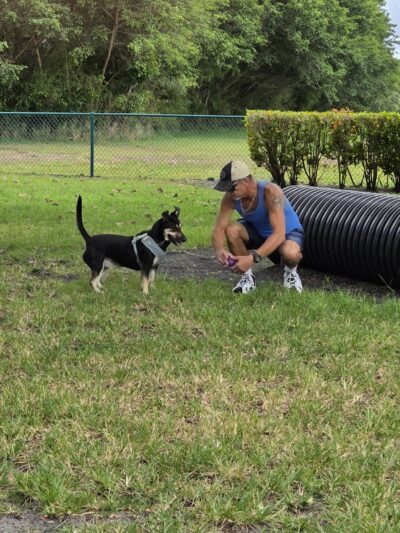 Village Paws Park - West Palm Beach, FL