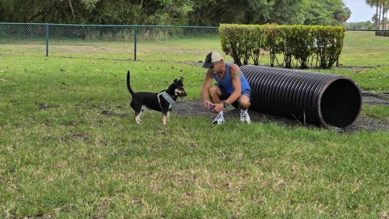 Village Paws Park - West Palm Beach, FL