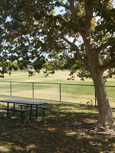 Summerfield Dog Park - West Sacramento, CA
