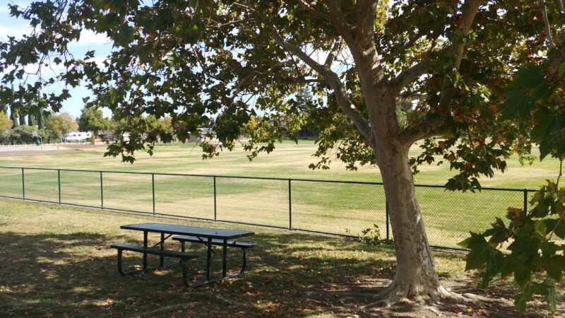 Summerfield Dog Park - West Sacramento, CA