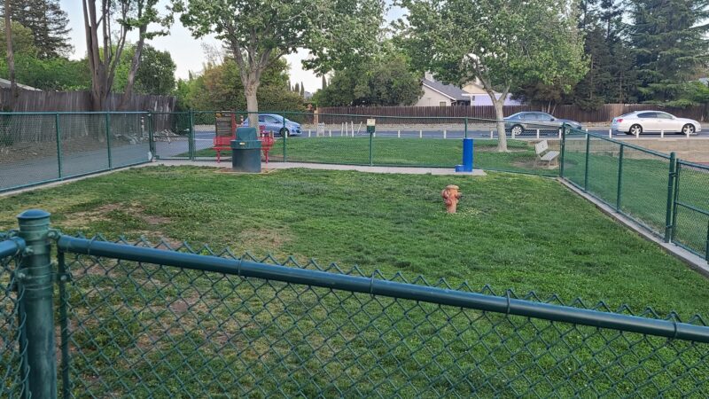 Summerfield Dog Park - West Sacramento, CA