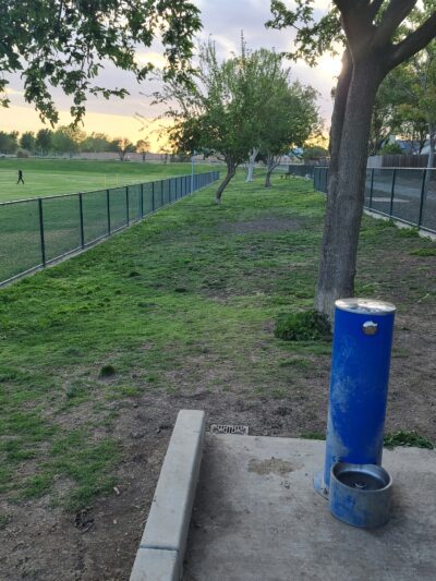 Summerfield Dog Park - West Sacramento, CA