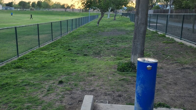 Summerfield Dog Park - West Sacramento, CA