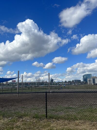 PUP Dog Park - West Sacramento, CA