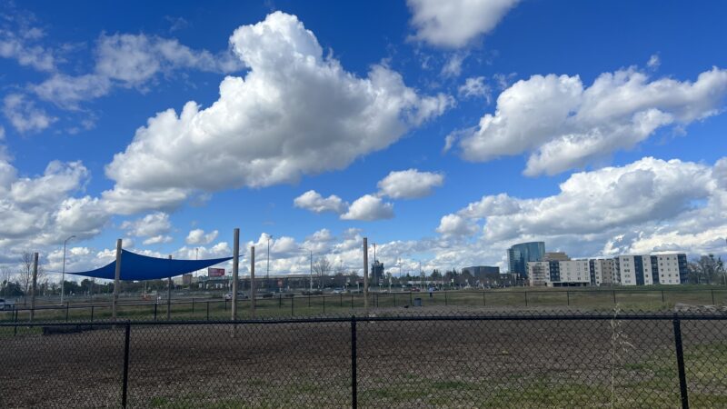 PUP Dog Park - West Sacramento, CA