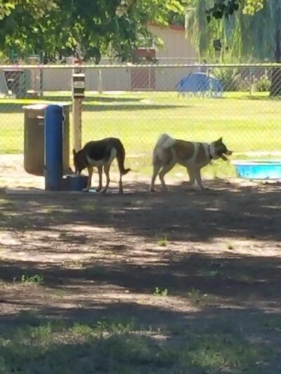 Sam Combs Park - West Sacramento, CA