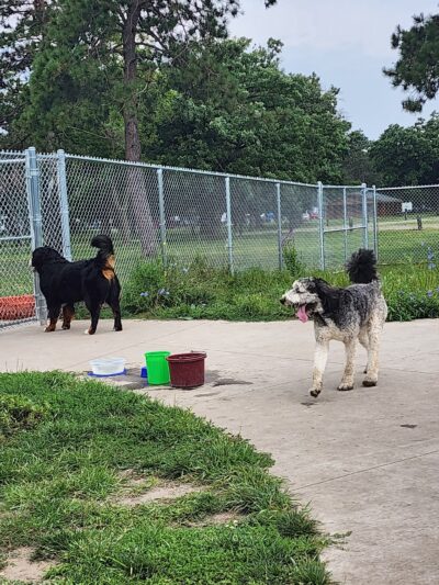 Paws Park in Veterans Memorial Campgroup, West Salem Dog Park - West Salem, WI