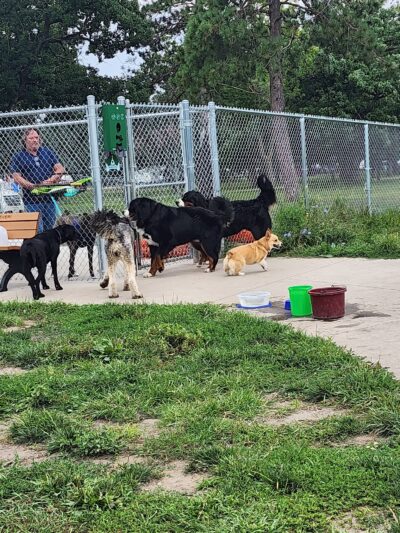 Paws Park in Veterans Memorial Campgroup, West Salem Dog Park - West Salem, WI
