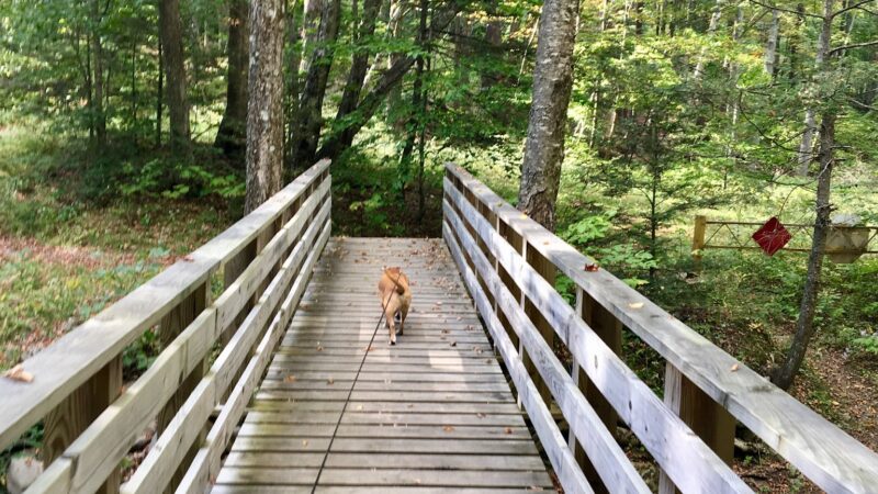 Ashokan High Point Trailhead - West Shokan, NY