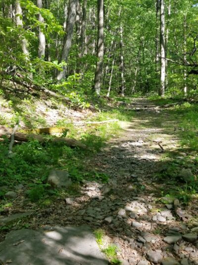 Ashokan High Point Trailhead - West Shokan, NY