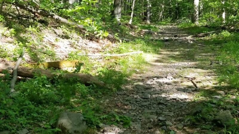 Ashokan High Point Trailhead - West Shokan, NY