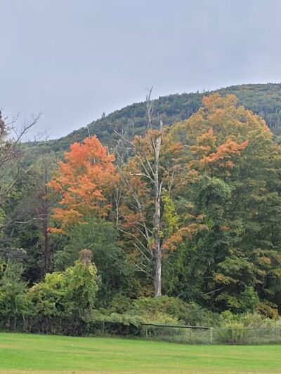 Lester S. Davis Park - West Shokan, NY