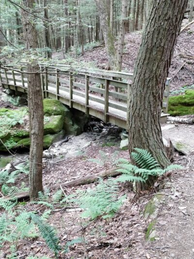 Stevens Glen Trail Head Richmond, MA - West Stockbridge, MA