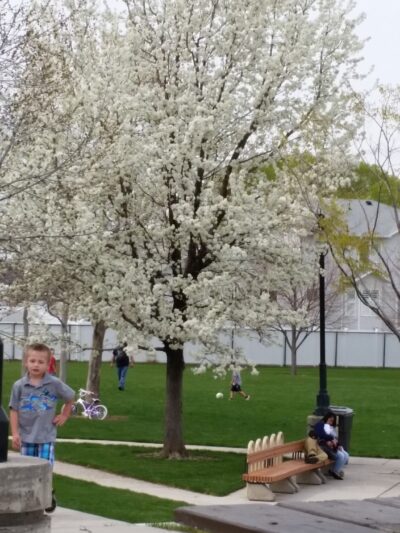 Fassio Farm Park - West Valley City, UT