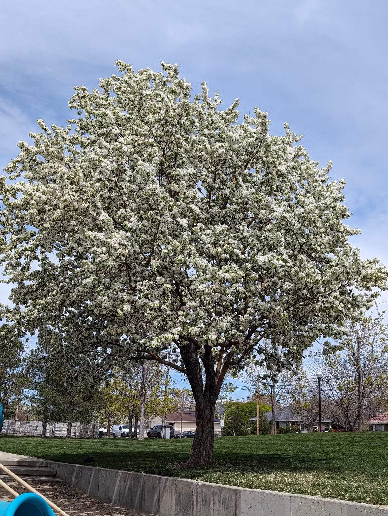 Fassio Farm Park - West Valley City, UT