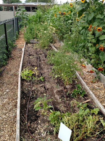 Hillsdale Park - West Valley City, UT