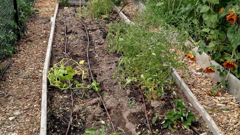 Hillsdale Park - West Valley City, UT