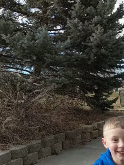 Peachwood Park - West Valley City, UT