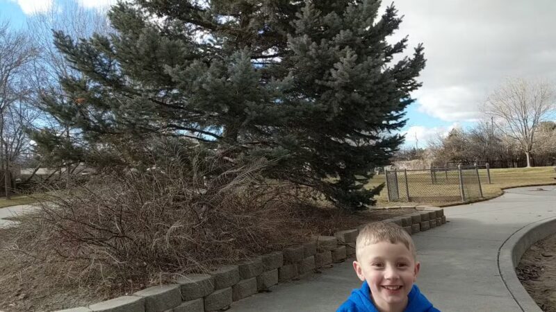 Peachwood Park - West Valley City, UT