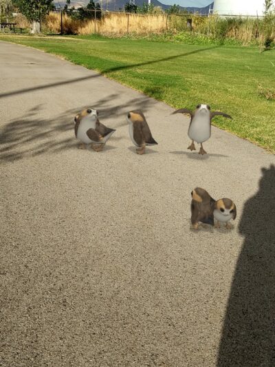 Redwood Park - West Valley City, UT