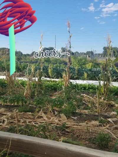 Redwood Park - West Valley City, UT