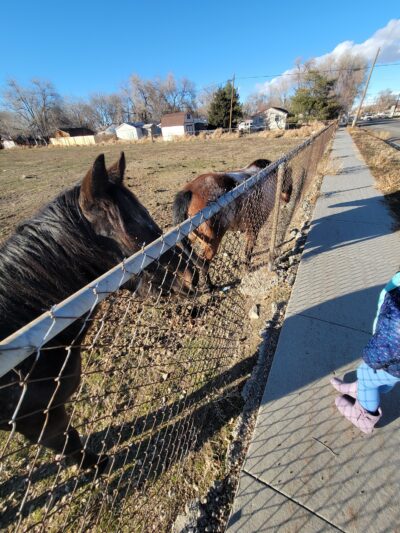 Redwood Park - West Valley City, UT