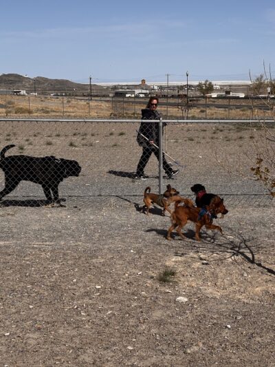 West Wendover Dog Park - West Wendover, NV