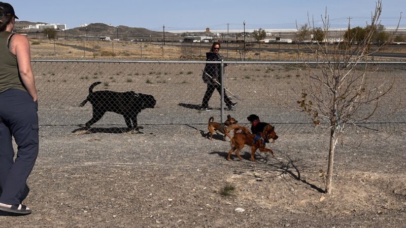 West Wendover Dog Park - West Wendover, NV