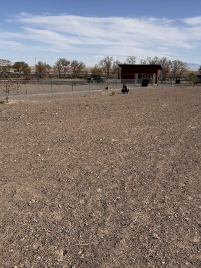 West Wendover Dog Park - West Wendover, NV