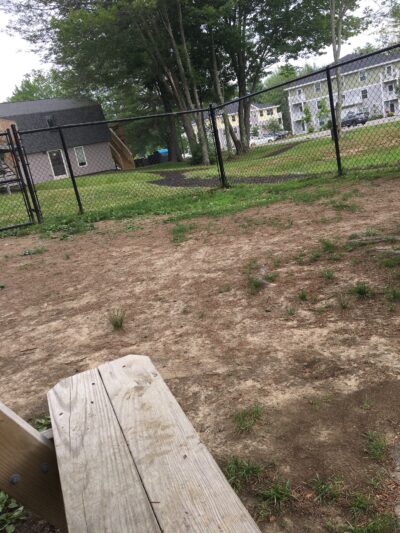 Blue Spruce Dog Park - Westbrook, ME
