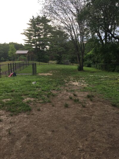 Blue Spruce Dog Park - Westbrook, ME
