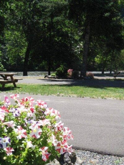 Casey's Riverside RV Park - Westfir, OR