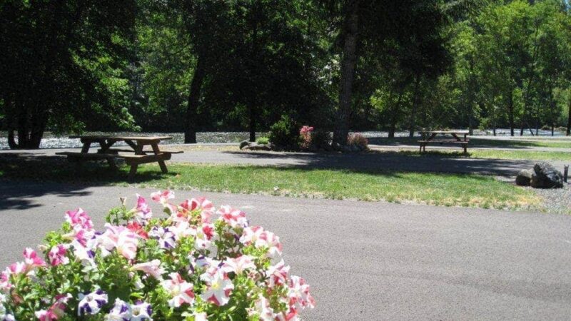 Casey's Riverside RV Park - Westfir, OR