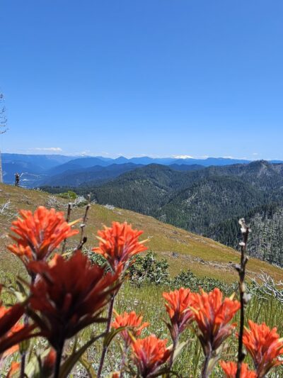 Deception Butte Trailhead - Upper - Westfir, OR