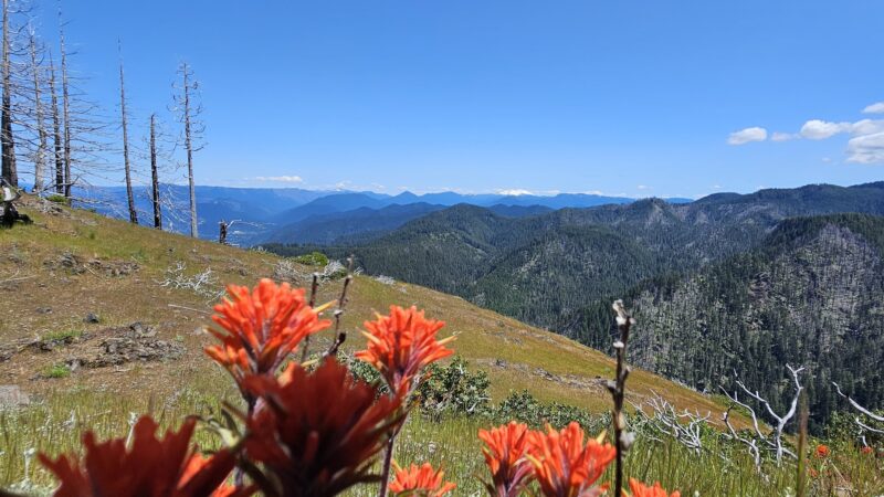 Deception Butte Trailhead - Upper - Westfir, OR