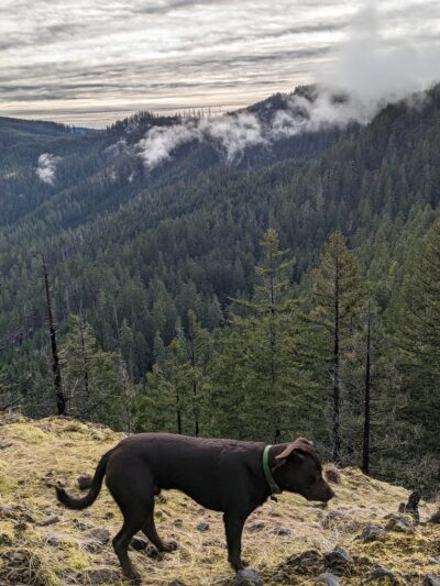 Deception Butte Trailhead - Upper - Westfir, OR