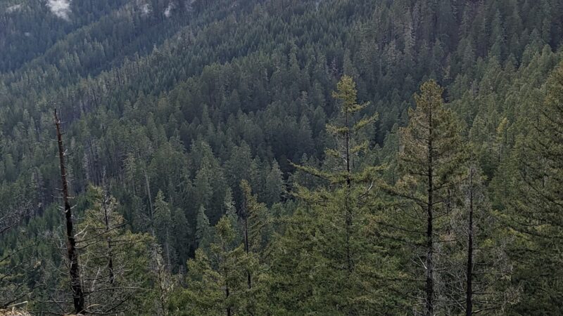 Deception Butte Trailhead - Upper - Westfir, OR