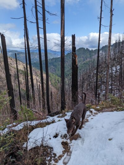 Deception Butte Trailhead - Upper - Westfir, OR