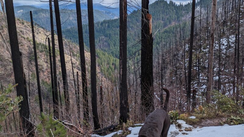 Deception Butte Trailhead - Upper - Westfir, OR