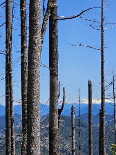 Deception Butte Trailhead - Upper - Westfir, OR