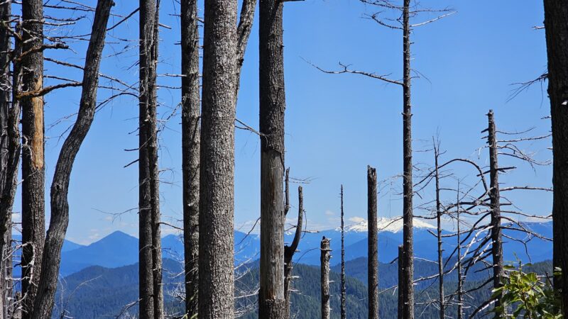 Deception Butte Trailhead - Upper - Westfir, OR