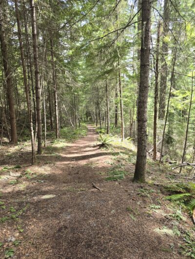 Moon Falls Trailhead - Westfir, OR