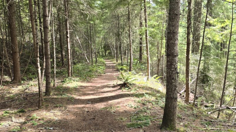 Moon Falls Trailhead - Westfir, OR
