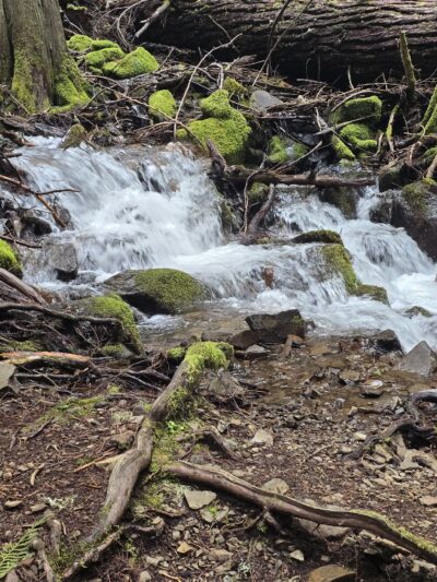 Moon Falls Trailhead - Westfir, OR