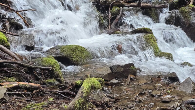 Moon Falls Trailhead - Westfir, OR