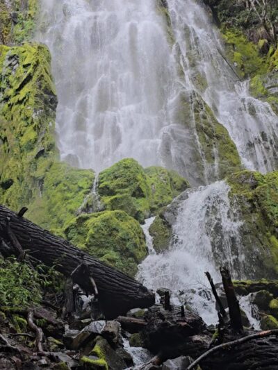 Moon Falls Trailhead - Westfir, OR