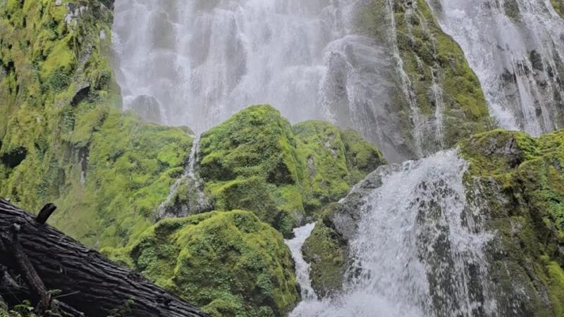 Moon Falls Trailhead - Westfir, OR