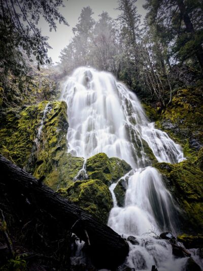 Moon Falls Trailhead - Westfir, OR