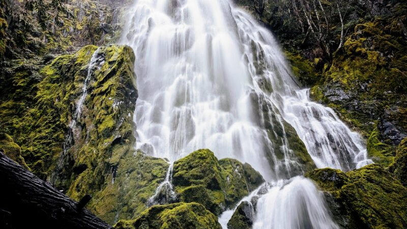 Moon Falls Trailhead - Westfir, OR