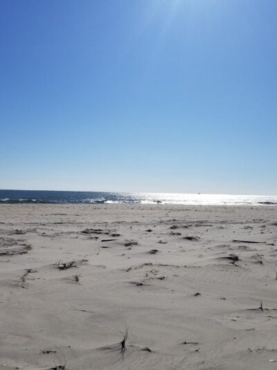 Cupsogue Beach County Park - Westhampton Beach, NY